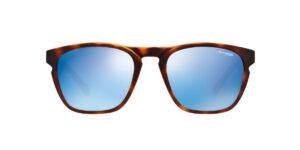 Arnette 4203