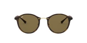 Ray-ban 4242 Light Ray