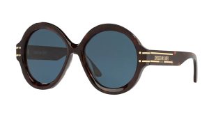 Dior Diorsignature R1U