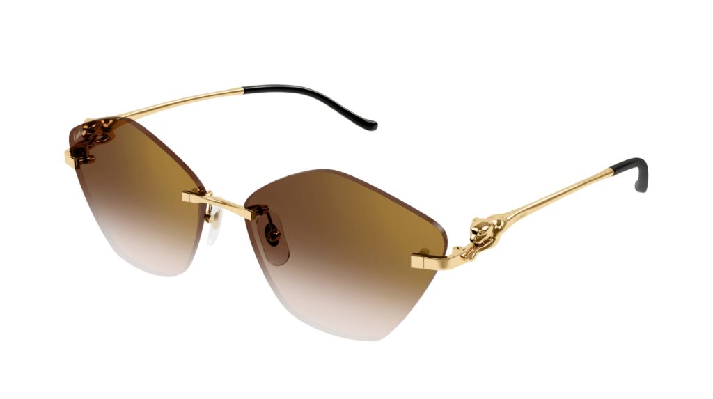 Cartier CT0429S