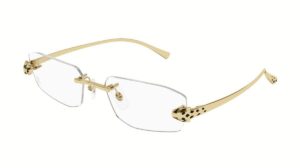 Cartier CT0494O