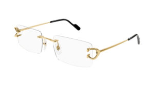 Cartier CT0488O