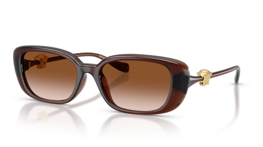 Versace 4504D