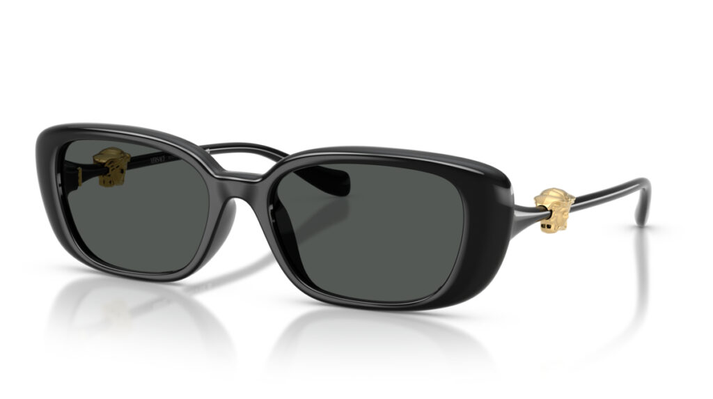Versace 4504D