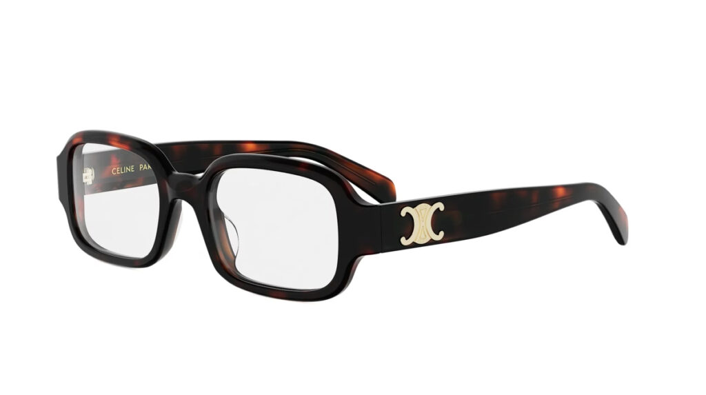 Celine 50173I
